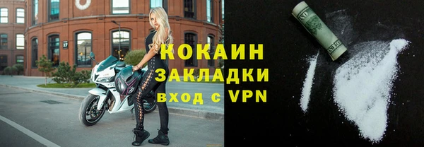 шишки Богородск