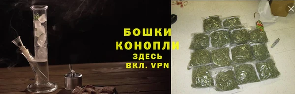 шишки Богородск