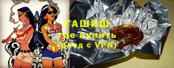 индика Кинешма