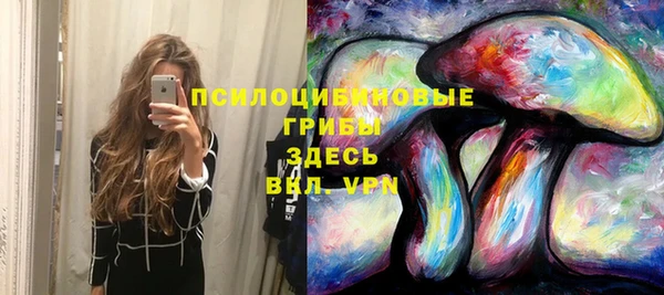 таблы Богданович