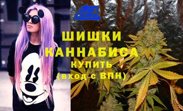 первитин Богородицк