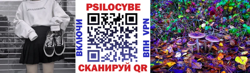 Псилоцибиновые грибы GOLDEN TEACHER  маркетплейс телеграм  Сланцы 